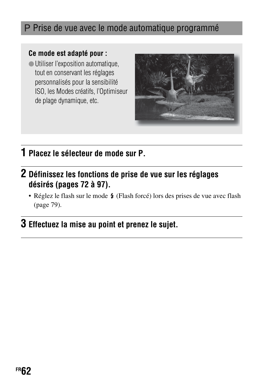 Prise de vue avec le mode automatique programmé | Sony DSLR-A290 User Manual | Page 62 / 343