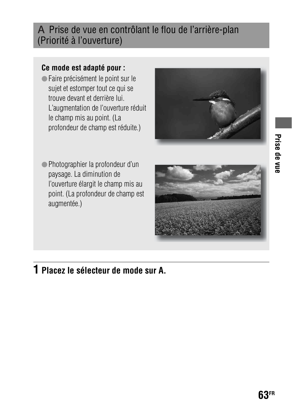 Priorité à l’ouverture), E (63) | Sony DSLR-A290 User Manual | Page 63 / 343