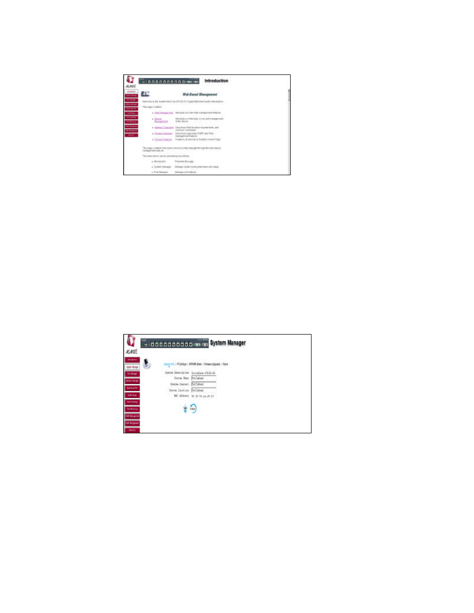 2 introduction, 3 system manager | Asante Technologies 65120 User Manual | Page 17 / 47