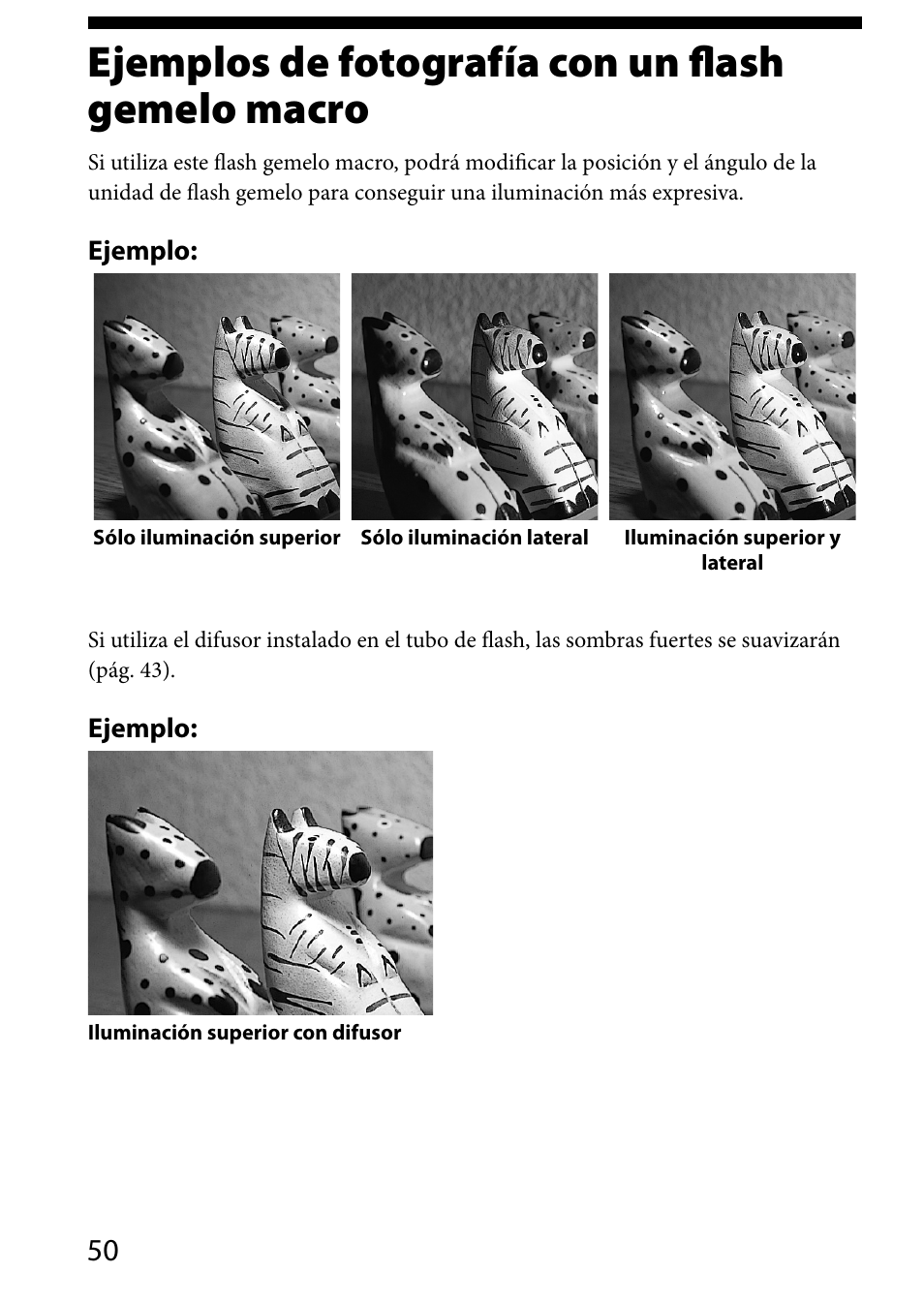 Ejemplos de fotografía con un flashgemelo macro, Ejemplos de fotografía con un, Flash gemelo macro | Ejemplos de fotografía con un flash gemelo macro | Sony HVL-MT24AM User Manual | Page 168 / 294