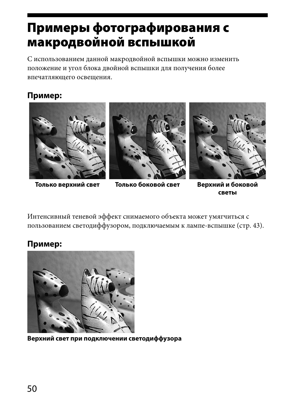 Примеры фотографирования смакродвойной вспышкой, Примеры фотографирования с, Макродвойной вспышкой | Примеры фотографирования с макродвойной вспышкой | Sony HVL-MT24AM User Manual | Page 284 / 294