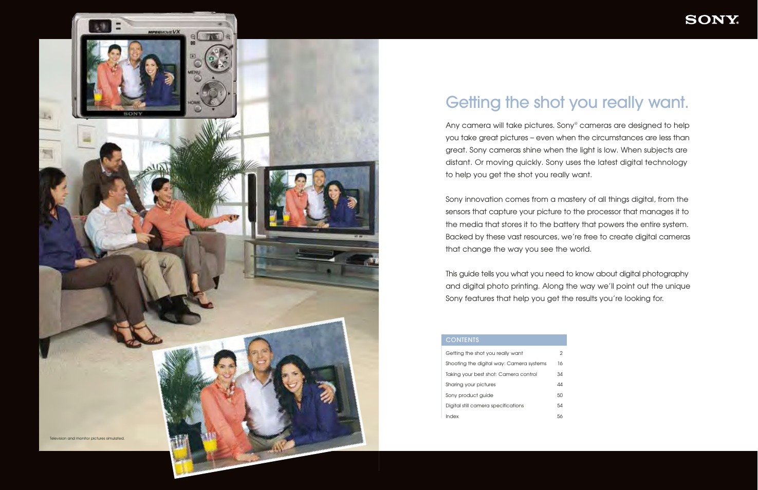 Getting the shot you really want | Sony DSC-S650 User Manual | Page 2 / 31