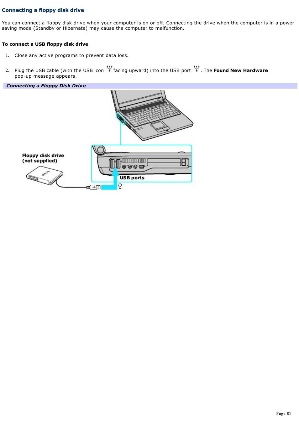 Connecting a floppy disk drive | Sony PCG-FRV25 User Manual | Page 81 / 124