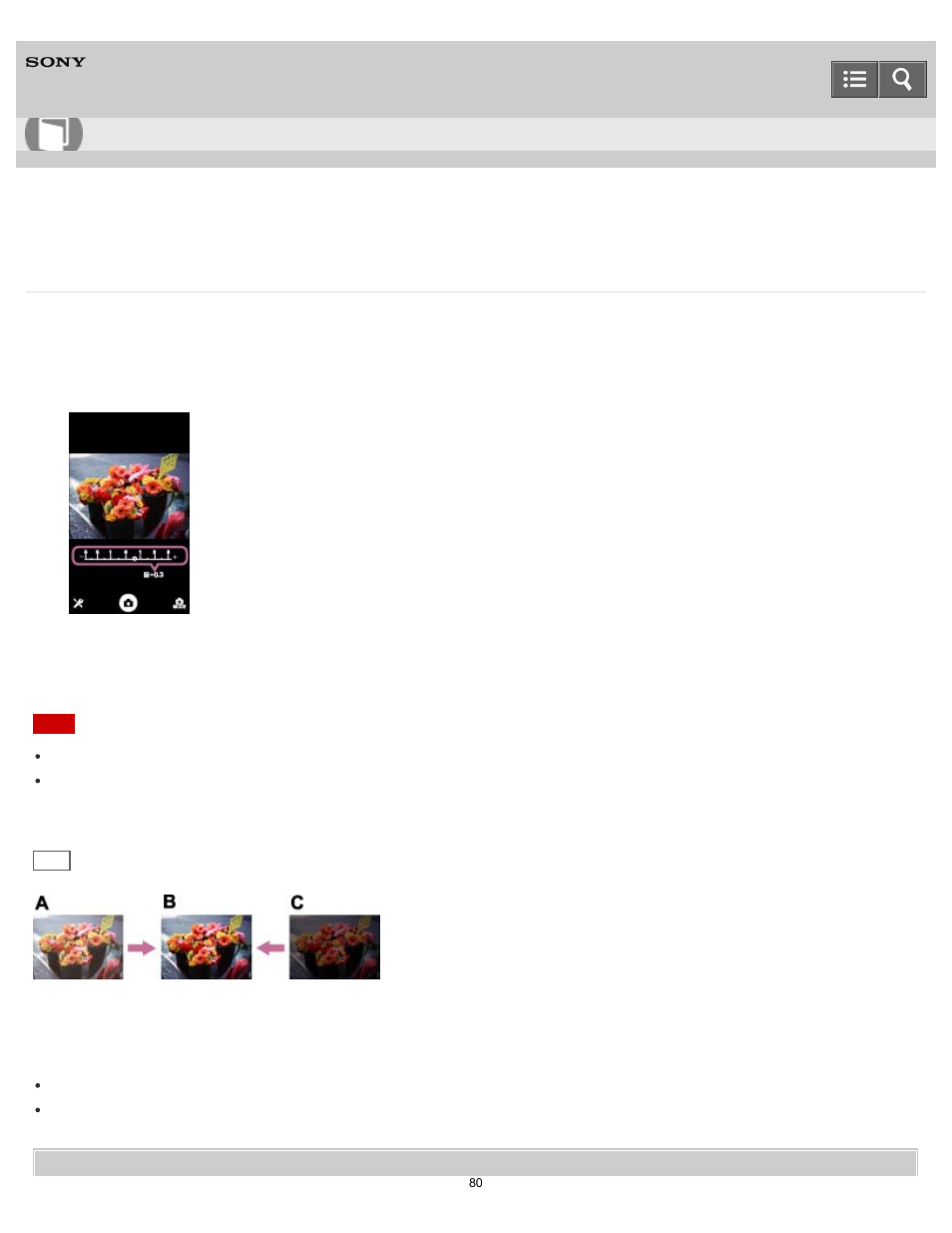 Adjusts the exposure manually, Help guide | Sony DSC-QX100 User Manual | Page 80 / 130