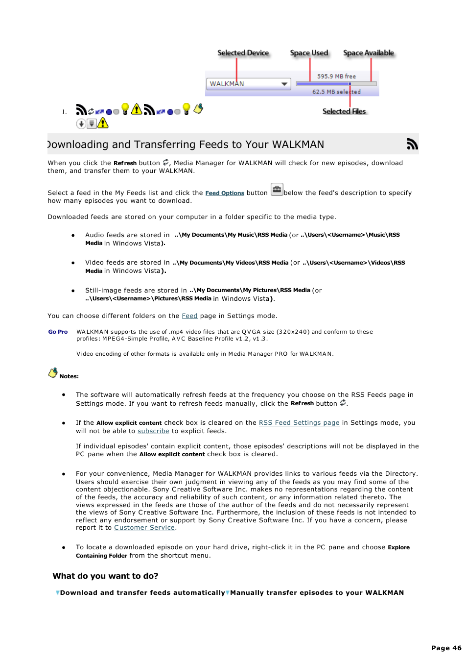 Downloading and transferring rss media feeds, Downloading and transferring feeds to your walkman, What do you want to do | Sony NWZ-S615FSLV User Manual | Page 46 / 58