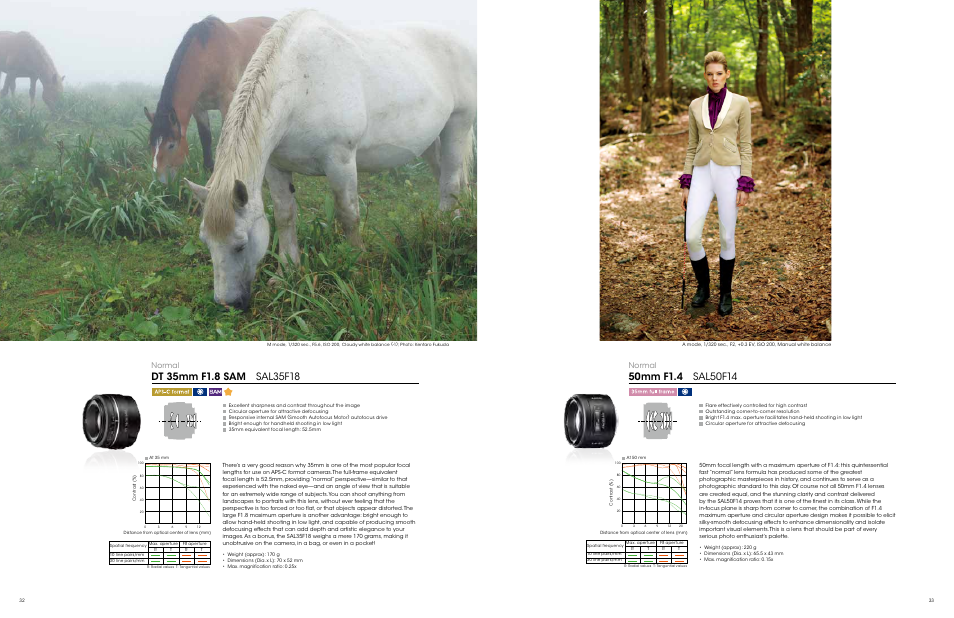 Normal | Sony ALC-F62A User Manual | Page 17 / 35