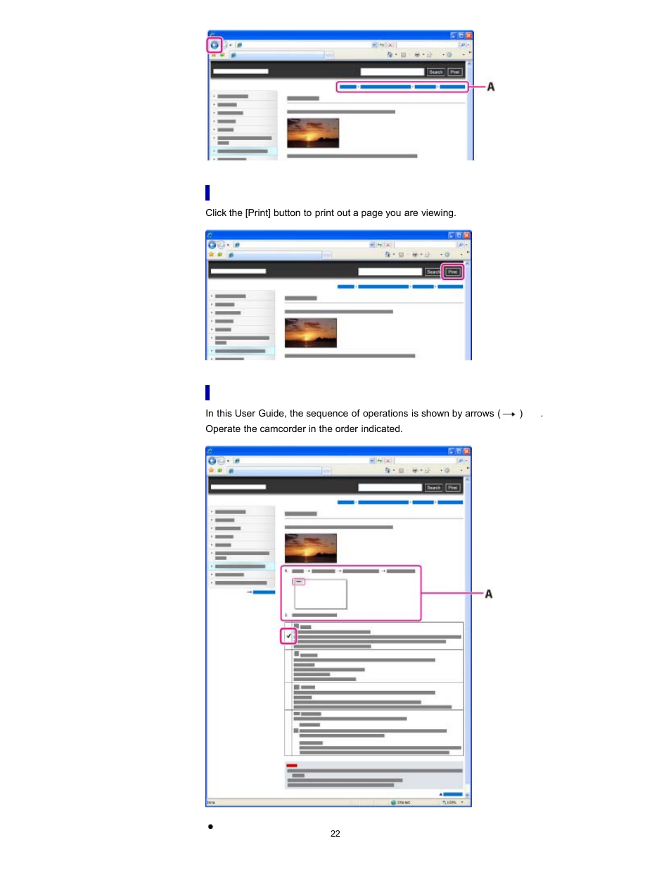 Marks and notations used in this user guide | Sony HDR-PJ580V User Manual | Page 31 / 257