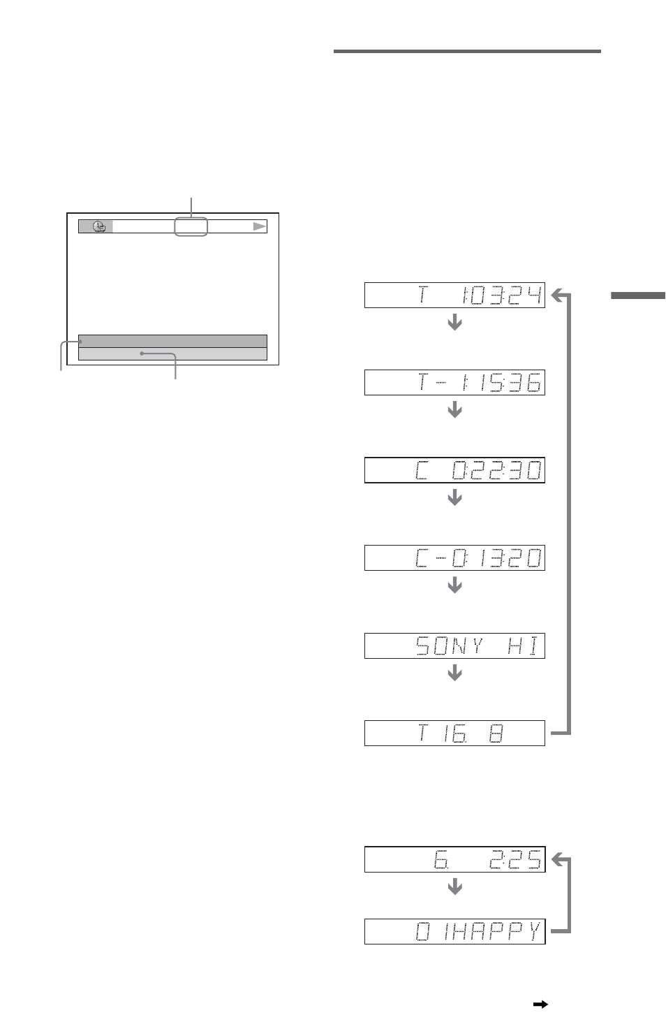 Sony DVP-NS975V User Manual | Page 51 / 100
