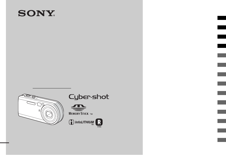 Sony DSC-P100LJ User Manual | 128 pages