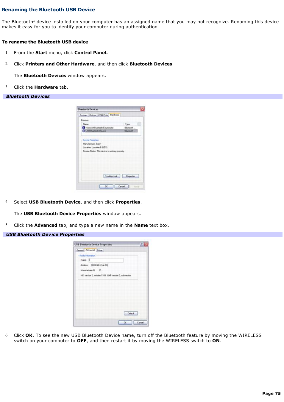 Renaming the bluetooth usb device | Sony VGN-T270P User Manual | Page 75 / 220