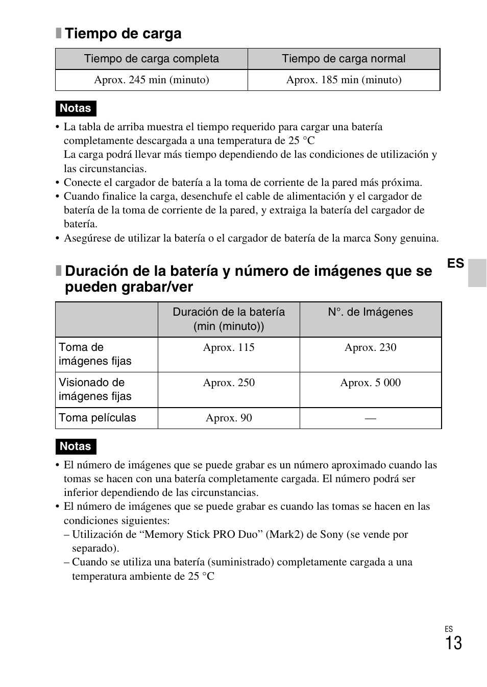 Xtiempo de carga | Sony DSC-T110 User Manual | Page 45 / 72