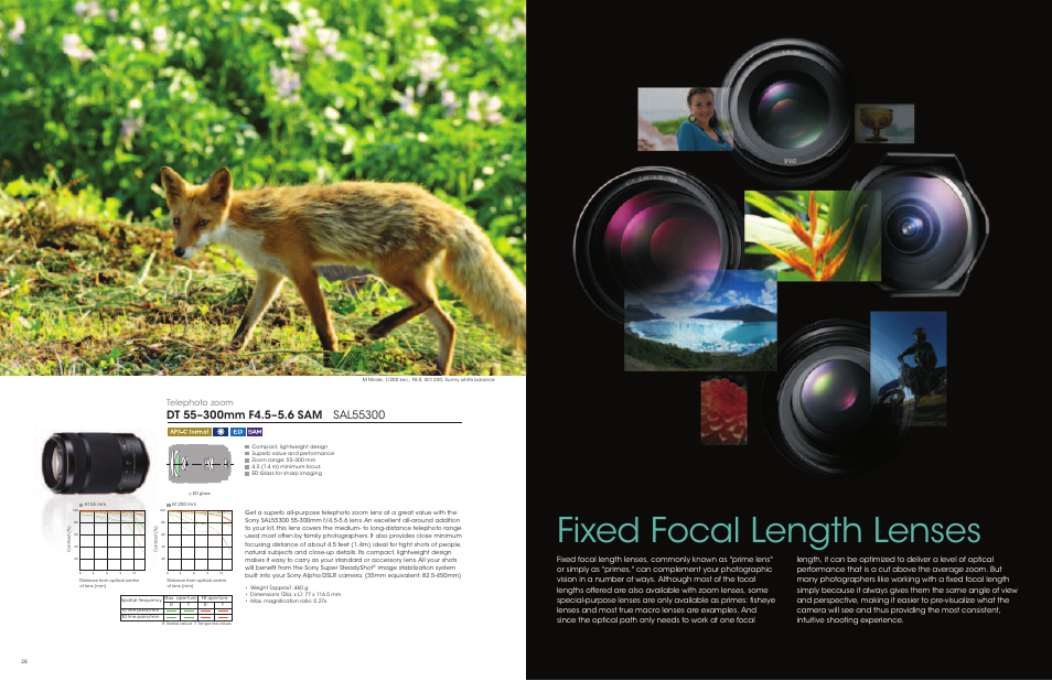 Fixed focal length lenses, Telephoto zoom | Sony a Lenses User Manual | Page 15 / 37