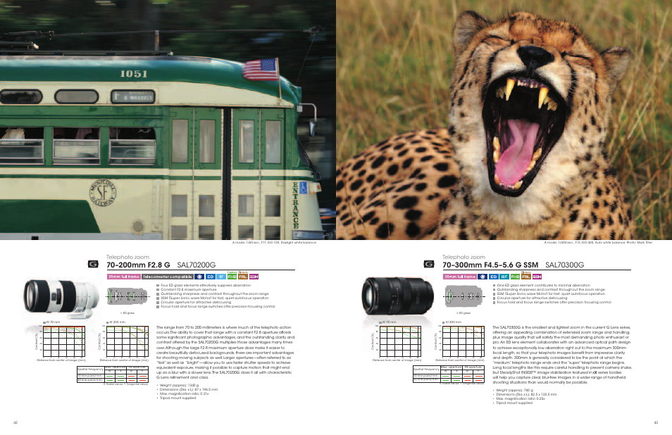 Telephoto zoom | Sony a Lenses User Manual | Page 22 / 37