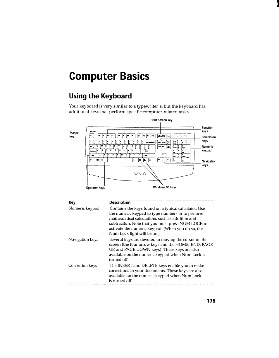 Computer basics, Using the keyboard | Sony PCV-130 User Manual | Page 179 / 203