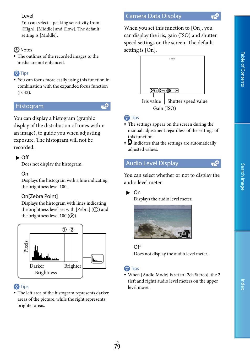 Histogram, Camera data display, Audio level display | Sony NEX-VG20 User Manual | Page 79 / 117