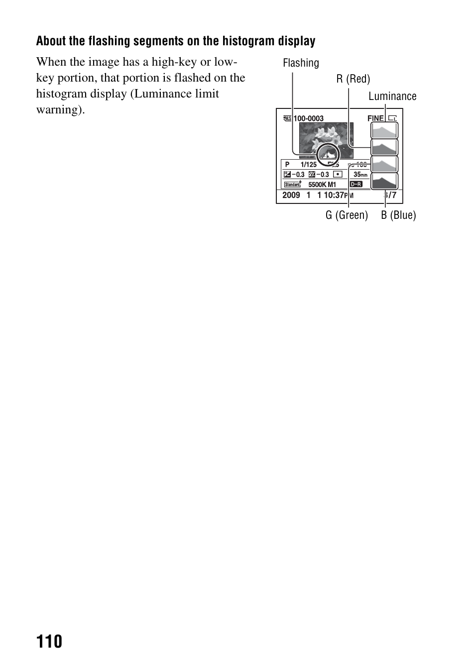 Sony DSLR-A330 User Manual | Page 110 / 171