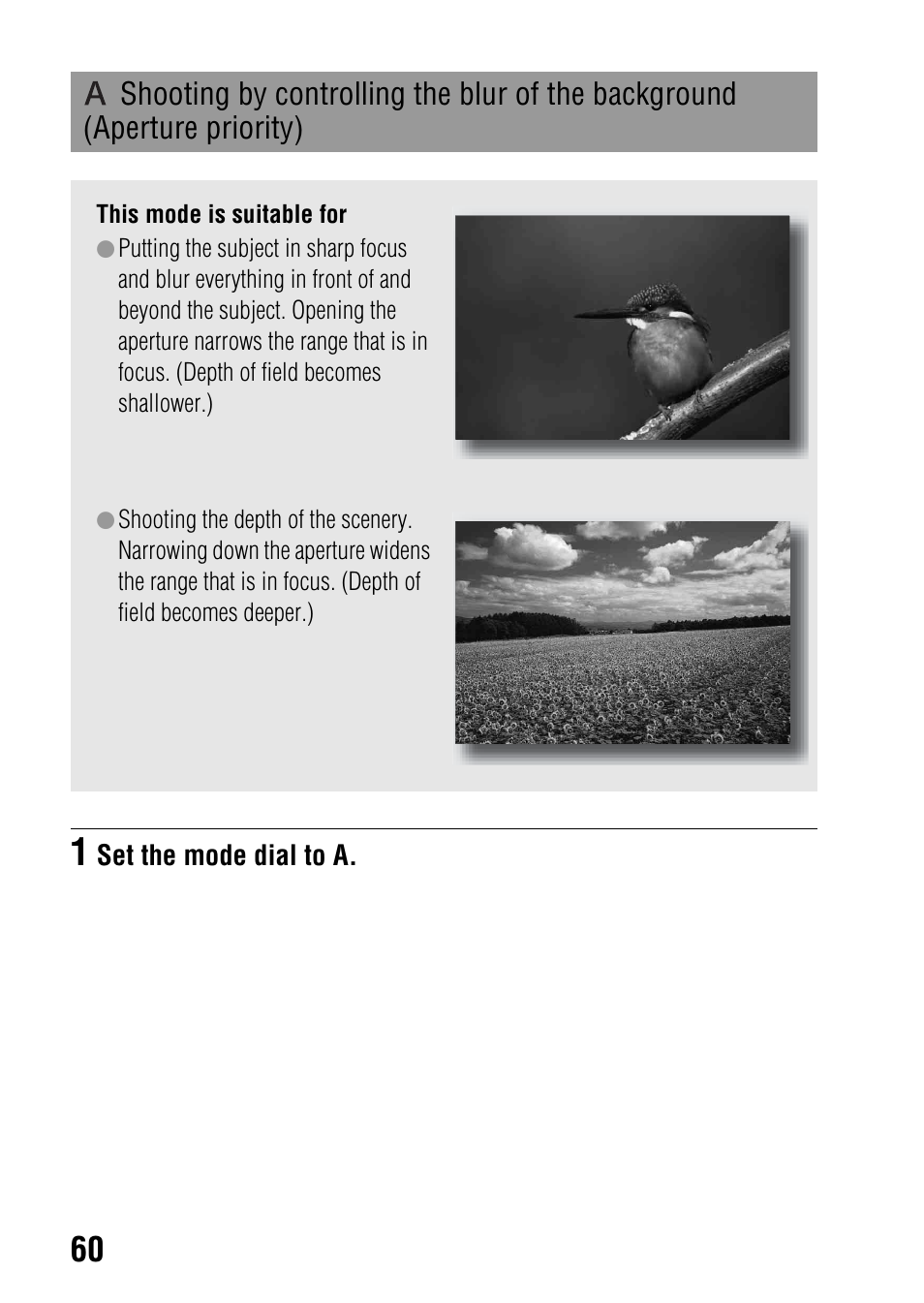 Shooting by controlling the blur of the background, Aperture priority) | Sony DSLR-A330 User Manual | Page 60 / 171