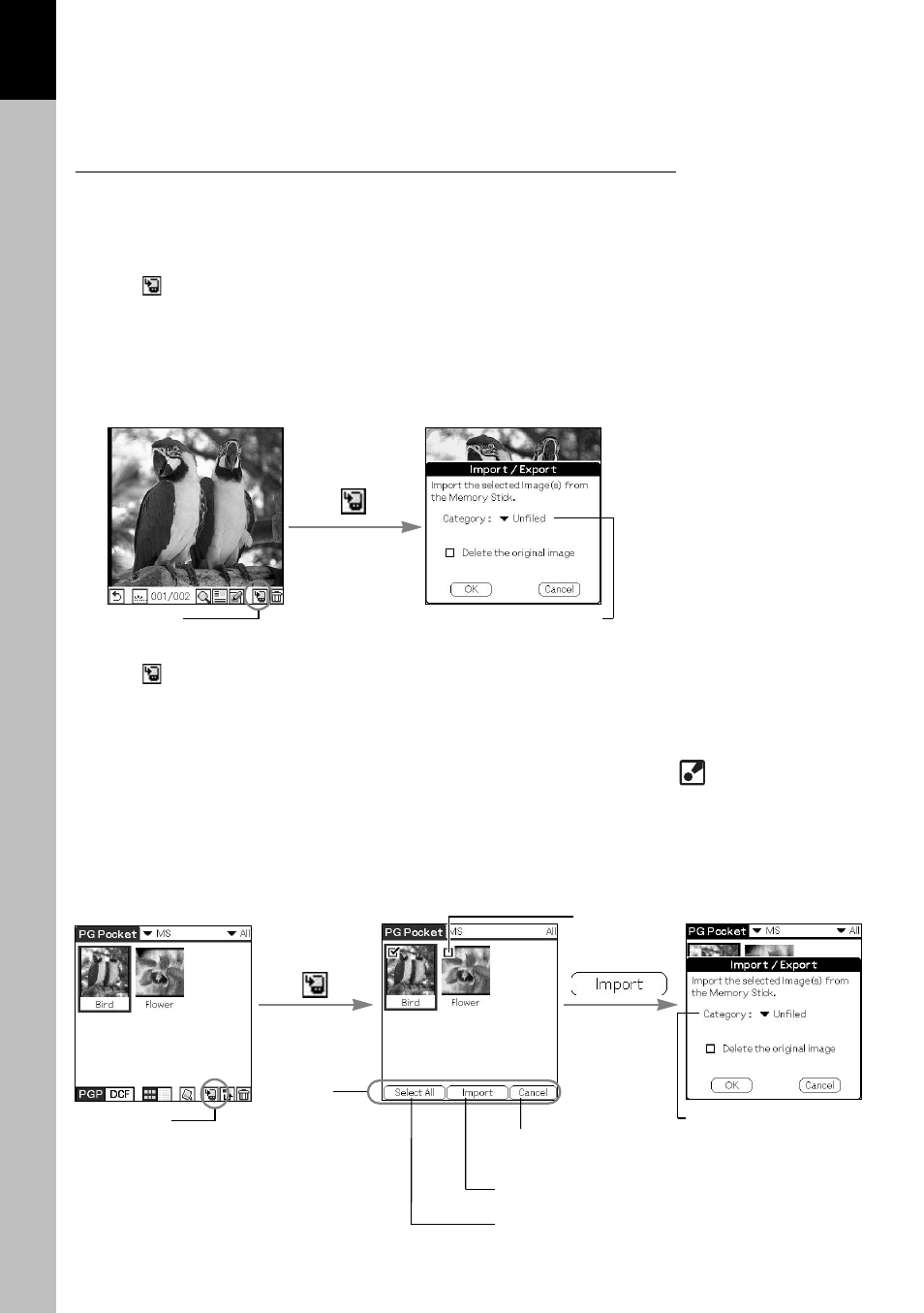 Import, Viewing and organizing pictures | Sony PEG-T415 User Manual | Page 19 / 30