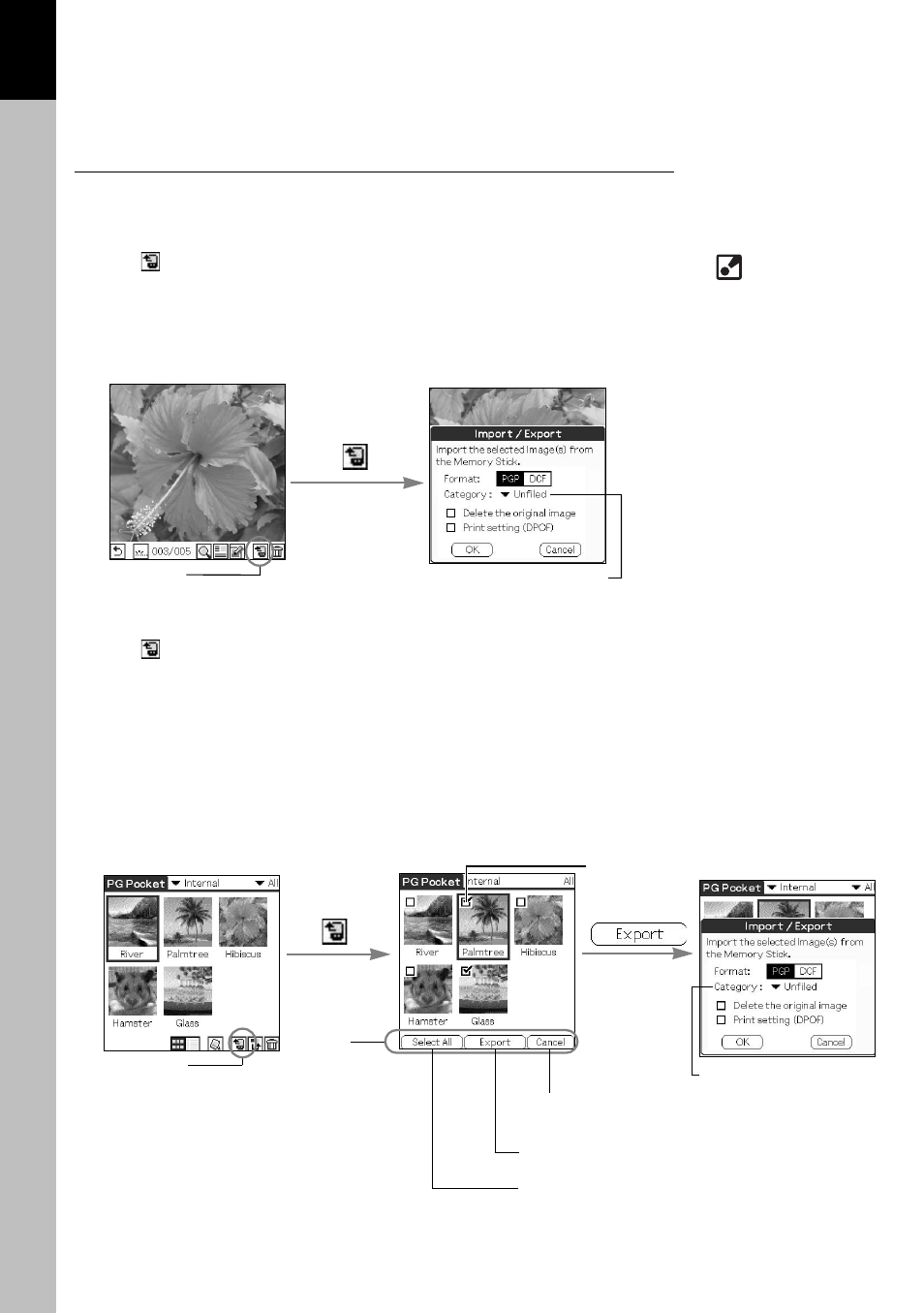 Export, Viewing and organizing pictures | Sony PEG-T415 User Manual | Page 20 / 30