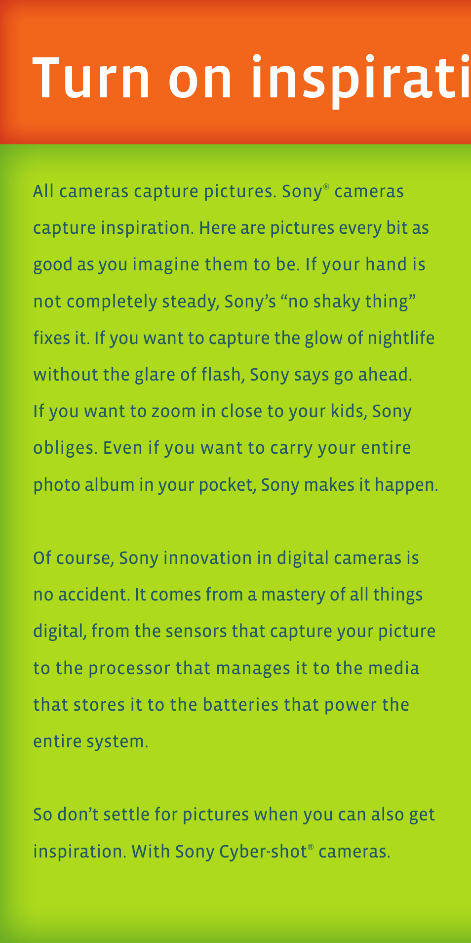 Turn on inspiration. turn off blur | Sony DSC-N1 User Manual | Page 2 / 19