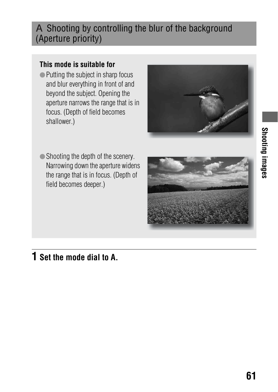 Shooting by controlling the blur of the background, Aperture priority) | Sony DSLR-A290 User Manual | Page 61 / 162