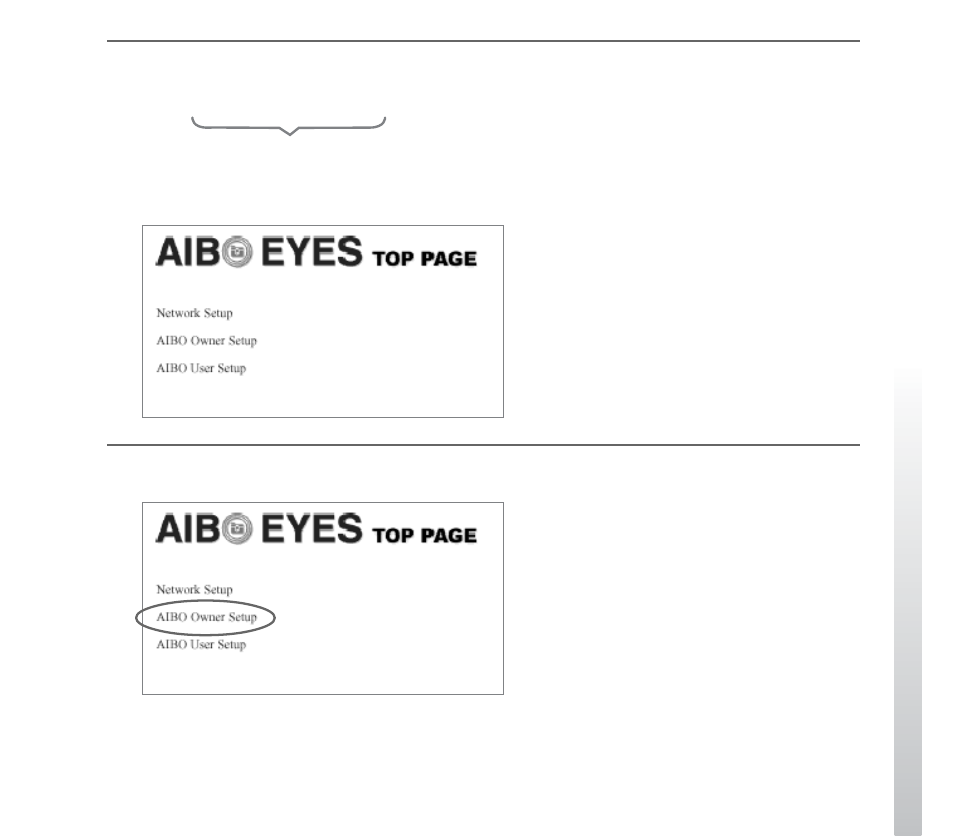 Sony ERS-210B User Manual | Page 21 / 68