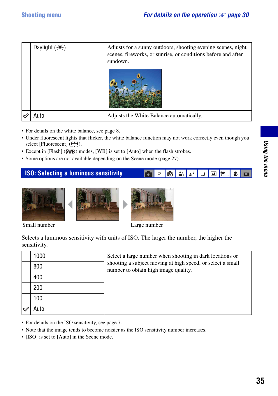 Iso: selecting a luminous sensitivity | Sony DSC-S700BDL User Manual | Page 35 / 101