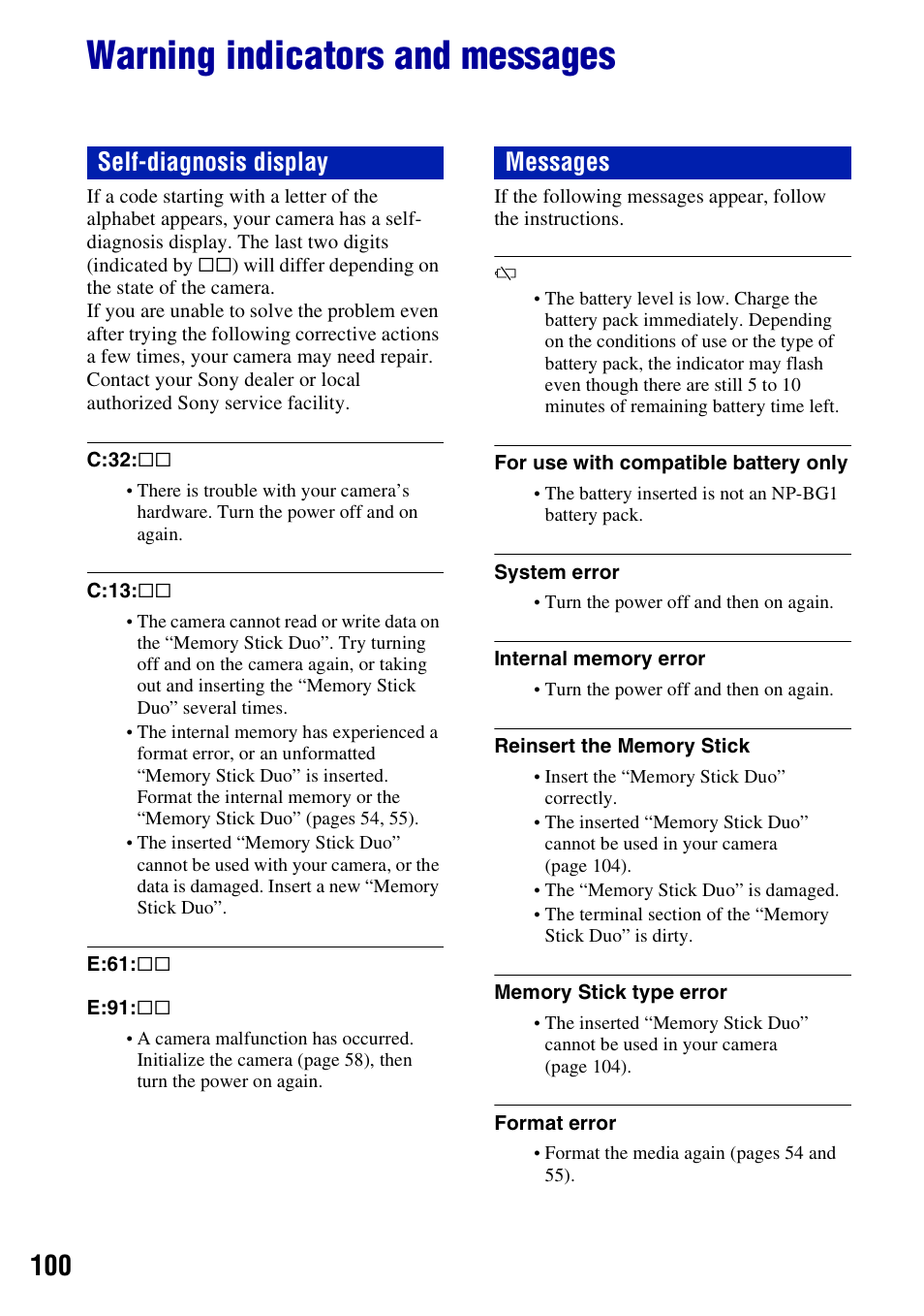 Warning indicators and messages, Ing (100), Self-diagnosis display messages | Sony DSC-W55BDL User Manual | Page 100 / 111