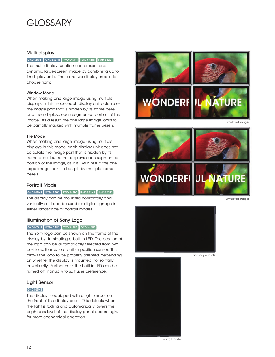 Glossary | Sony FWD-S42E1 User Manual | Page 12 / 20