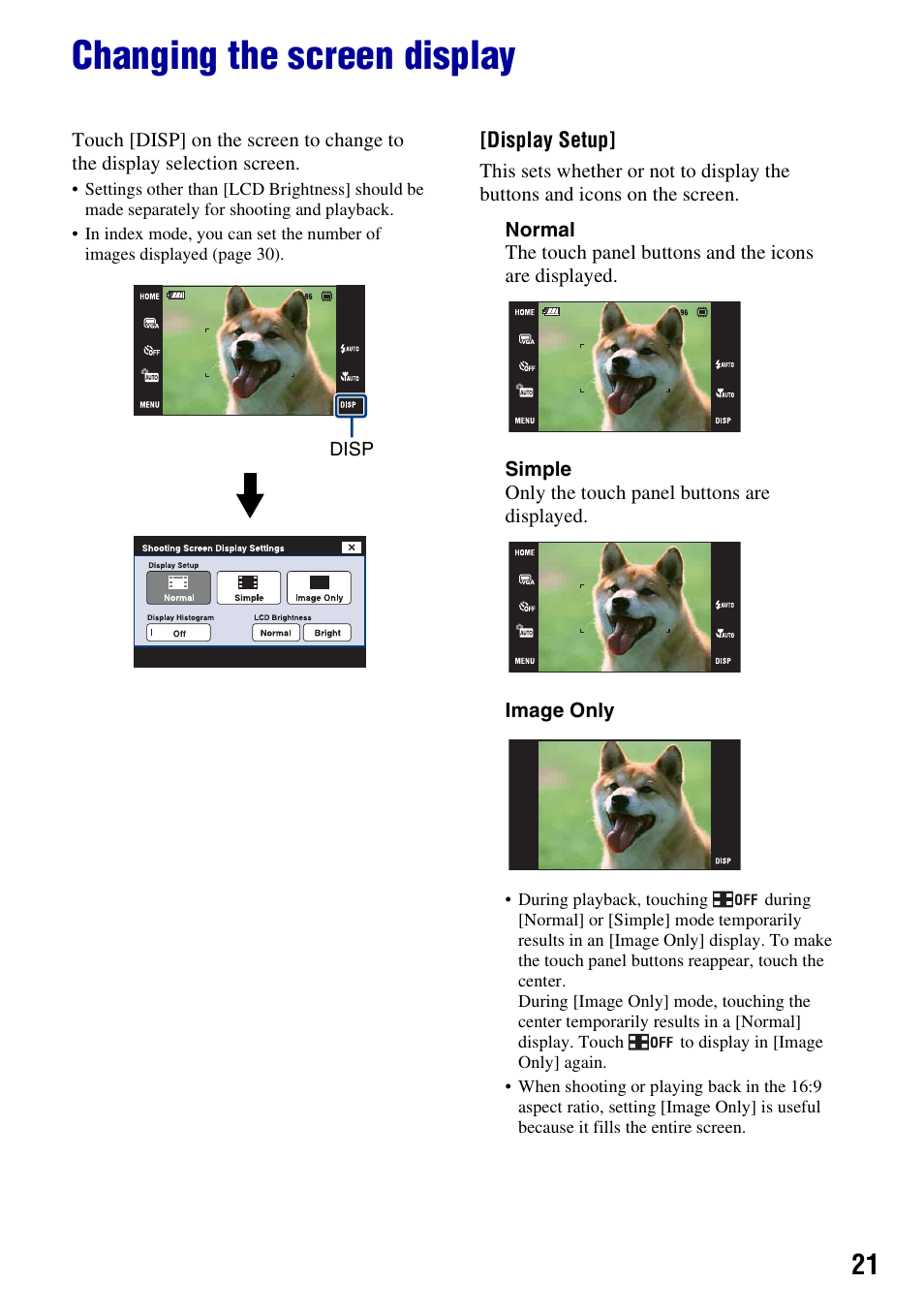 Changing the screen display | Sony DSC-T300 User Manual | Page 21 / 147