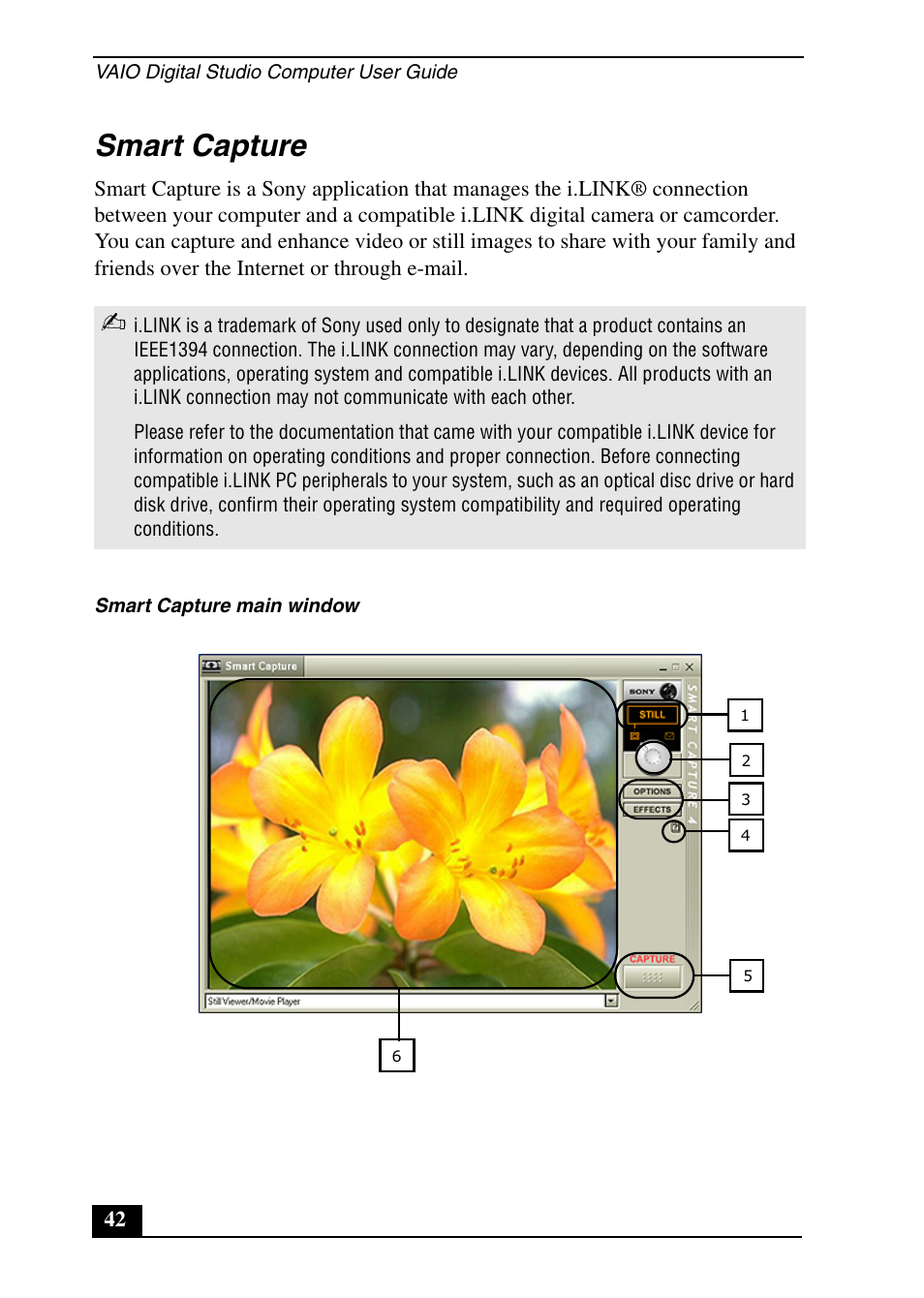 Smart capture | Sony PCV-RX690G User Manual | Page 42 / 100