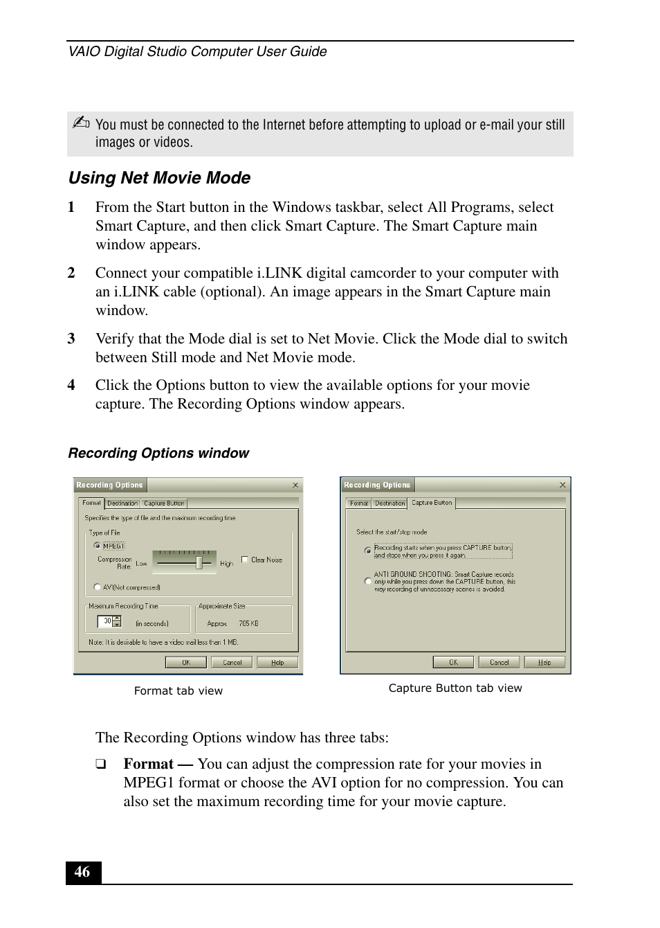 Sony PCV-RX690G User Manual | Page 46 / 100