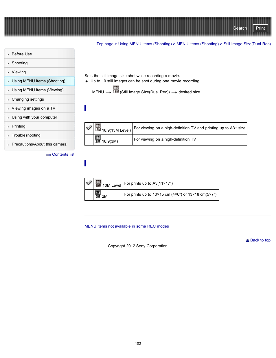 Still image size(dual rec), Details, Cyber-shot user guide | Sony DSC-WX100 User Manual | Page 103 / 257