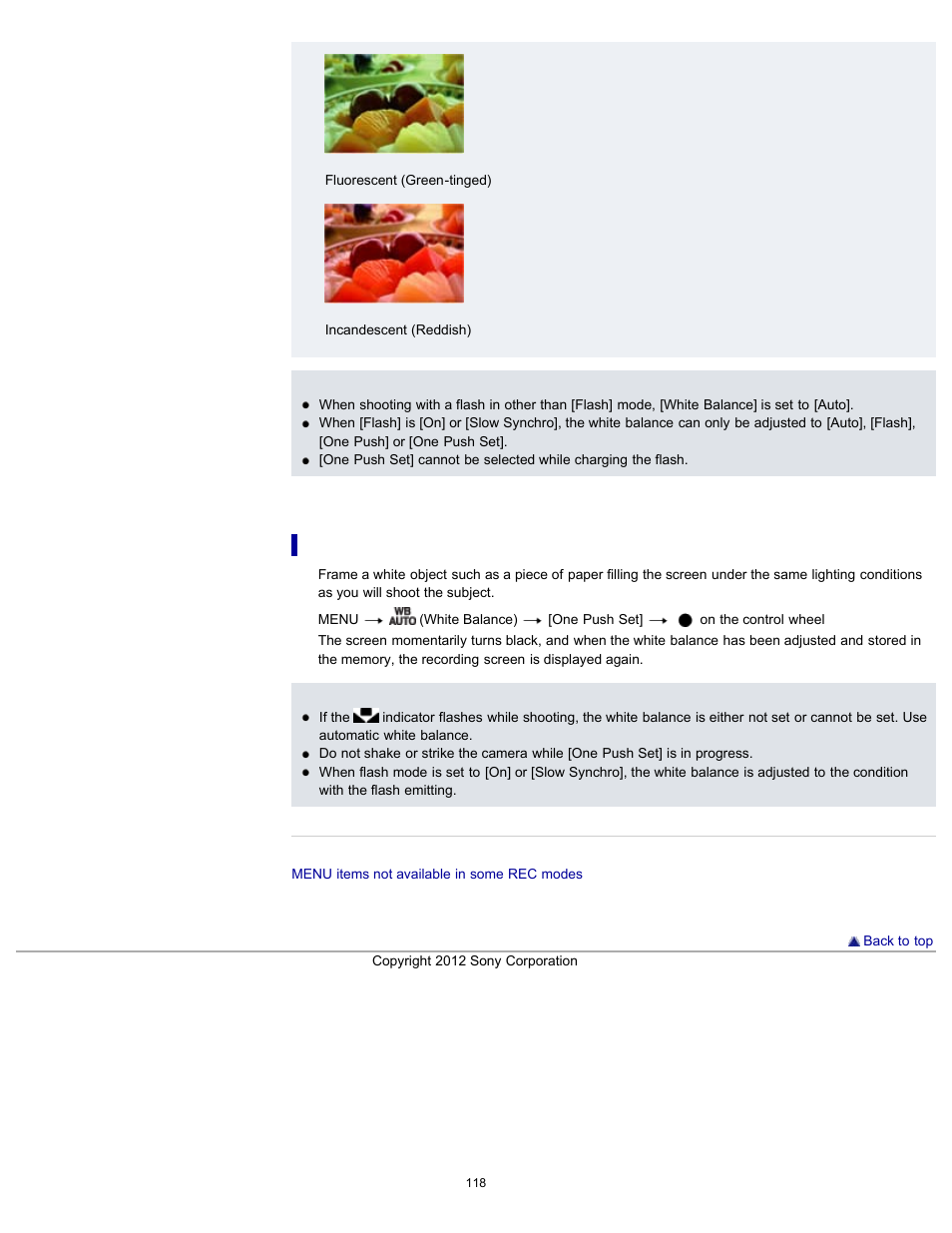 Details | Sony DSC-WX100 User Manual | Page 118 / 257