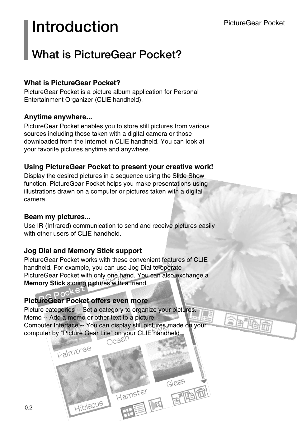 Introduction, What is picturegear pocket | Sony PEG-N710C User Manual | Page 2 / 32