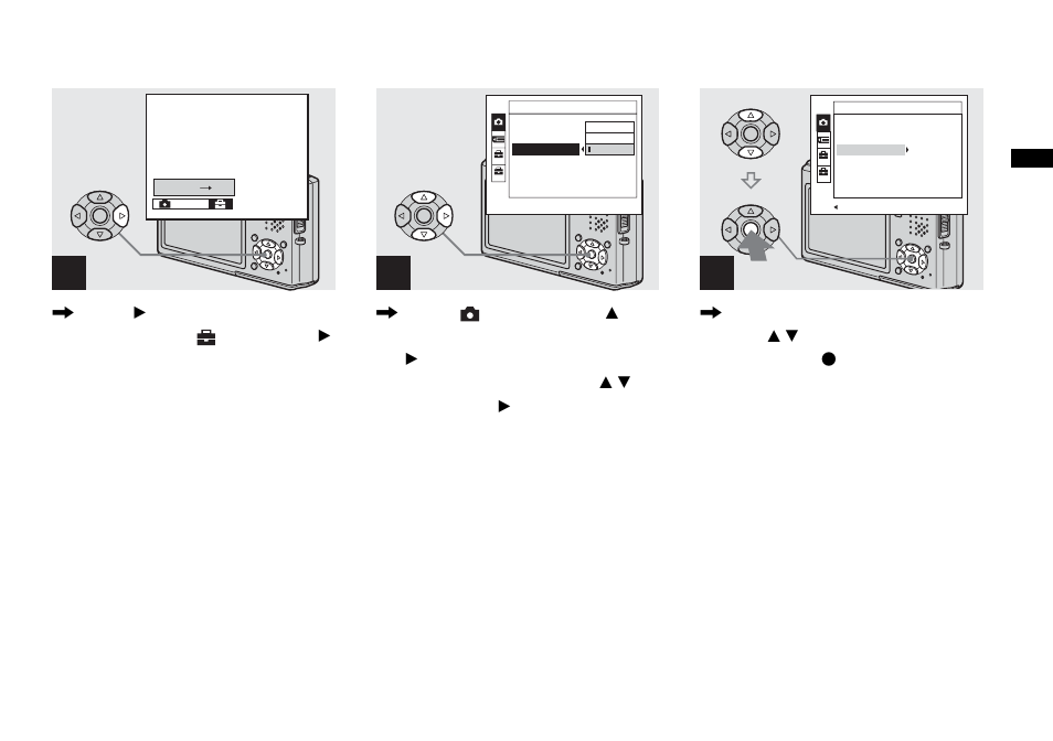 Sony DSC-T1 User Manual | Page 31 / 120