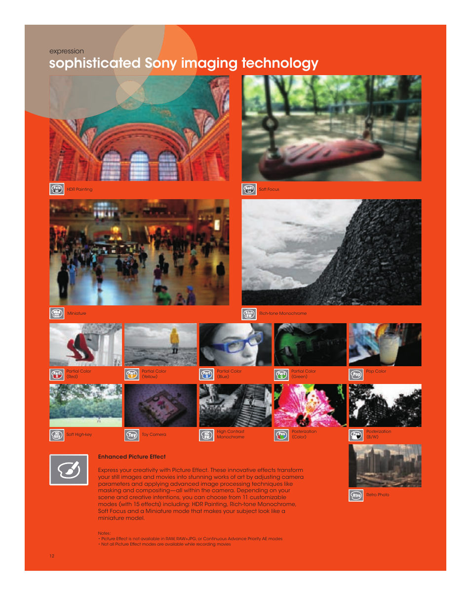 Sophisticated sony imaging technology, Expression | Sony SLT-A65VL User Manual | Page 12 / 20