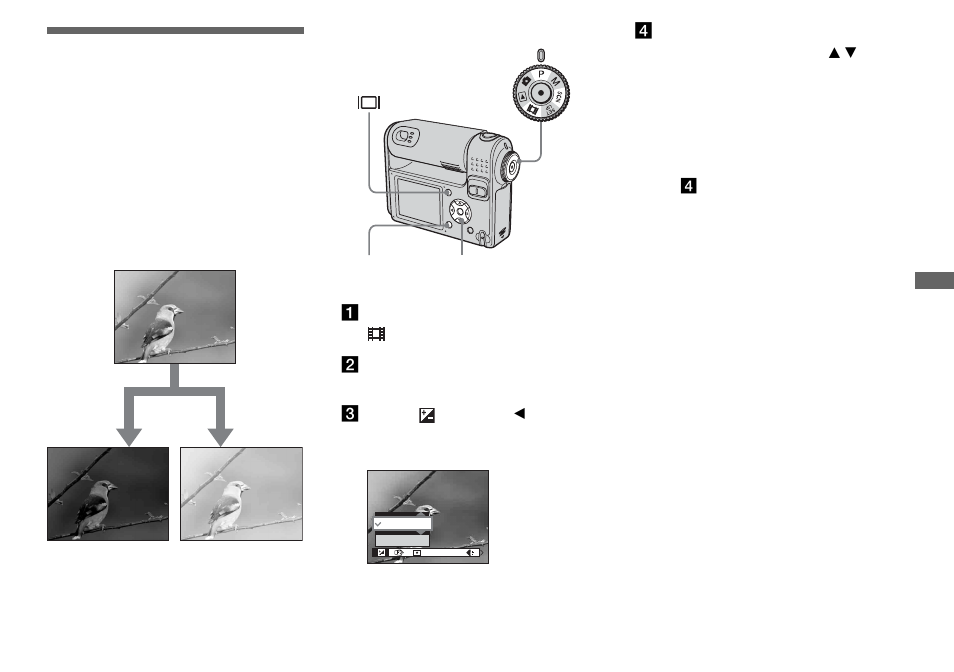 Adjusting the exposure, Ev adjustment | Sony DSC-F88 User Manual | Page 55 / 132