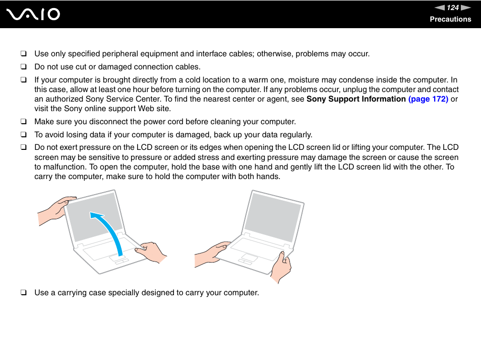 Sony VGN-C210E User Manual | Page 124 / 189