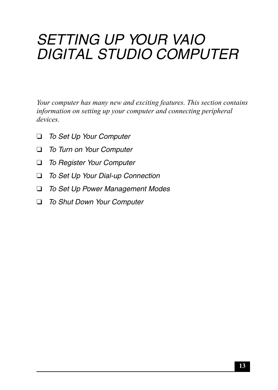 Setting up your vaio digital studio computer | Sony PCV-RX752 User Manual | Page 13 / 72