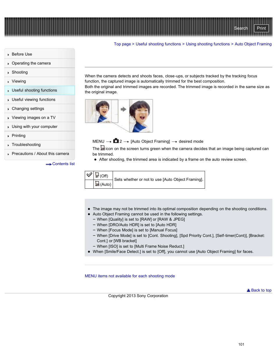 Auto object framing, Cyber-shot user guide | Sony DSC-RX100M2 User Manual | Page 110 / 269