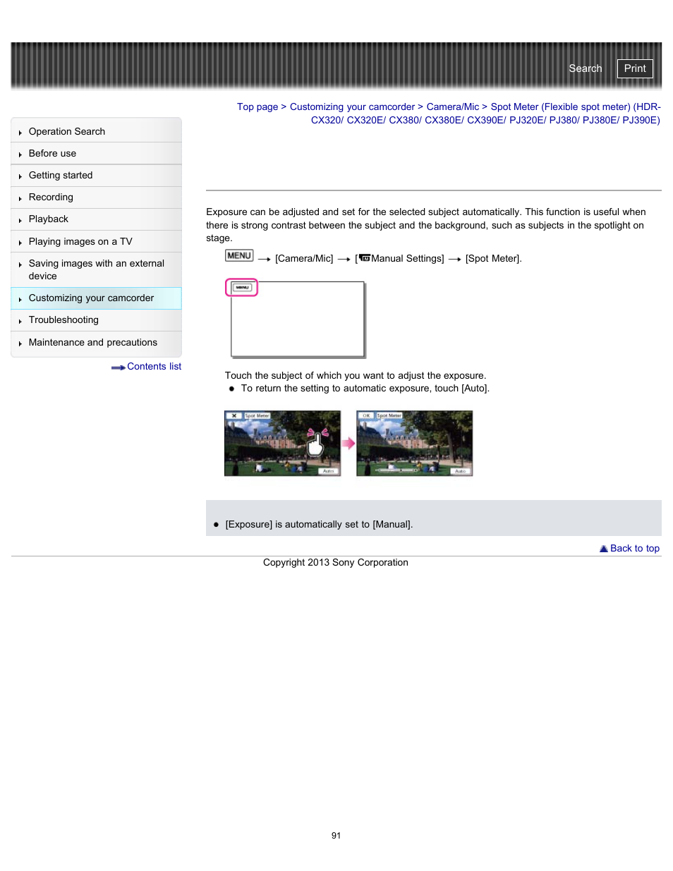 Spot meter (flexible spot meter), Pj320e/ pj380/ pj380e/ pj390e), Handycam" user guide | Sony HDR-CX290 User Manual | Page 98 / 213