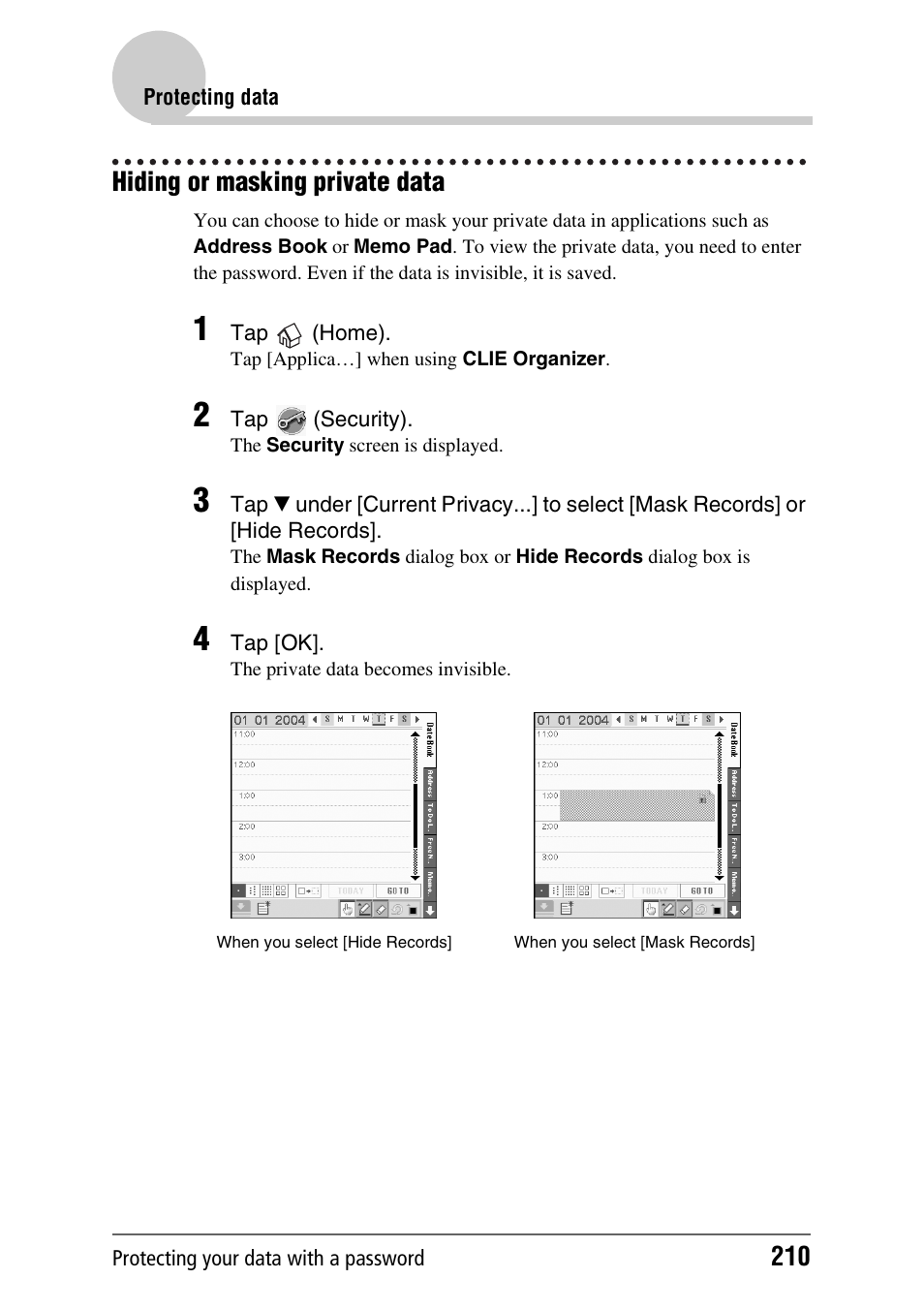 Hiding or masking private data | Sony PEG-TH55 User Manual | Page 210 / 231