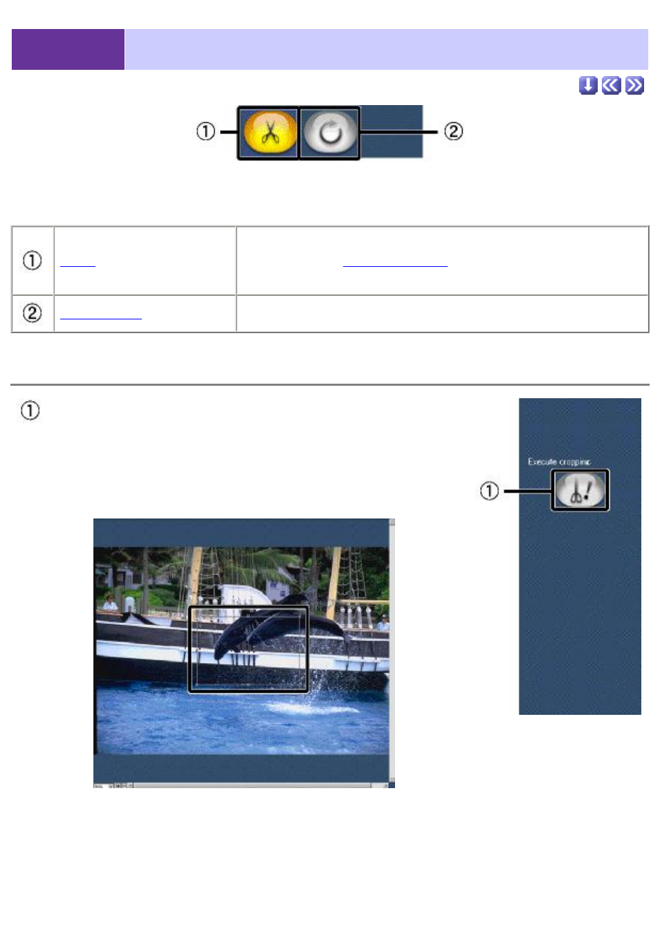 Crop/rotate/flip mode, Cropping, 4 crop/rotate/flip mode | Sony CCD-TRV608 User Manual | Page 197 / 207