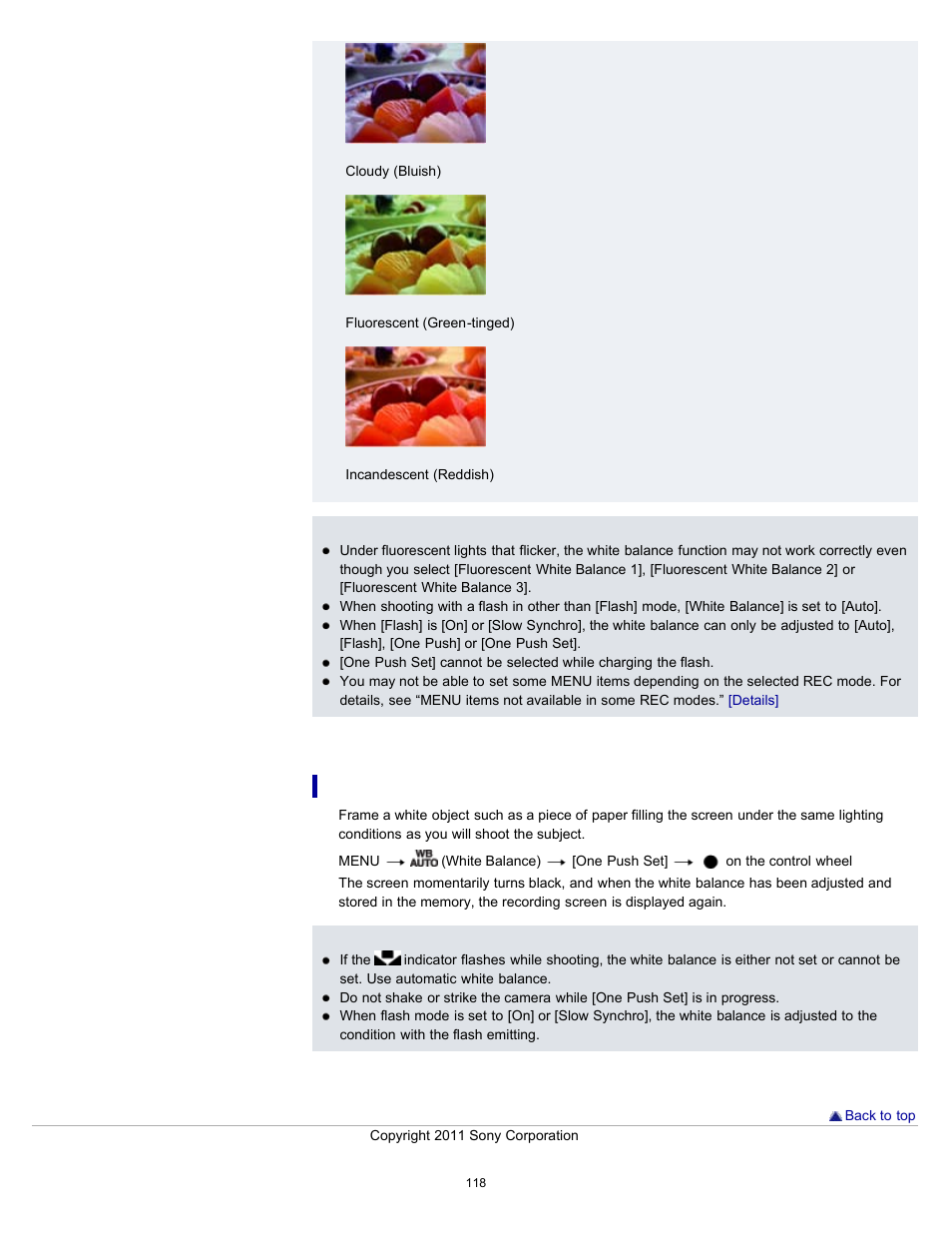 Details | Sony DSC-WX10 User Manual | Page 118 / 266