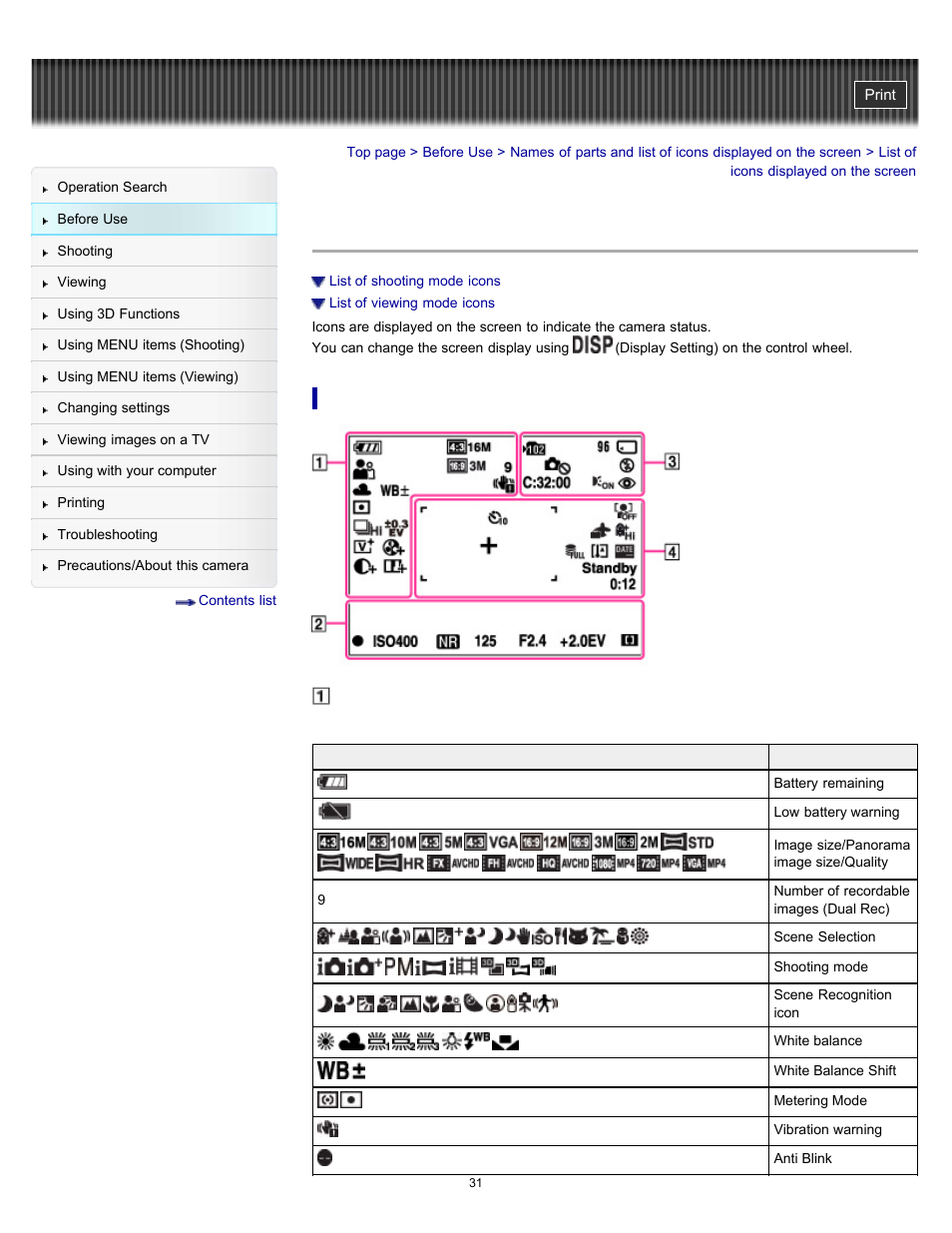 List of icons displayed on the screen | Sony DSC-WX10 User Manual | Page 31 / 266