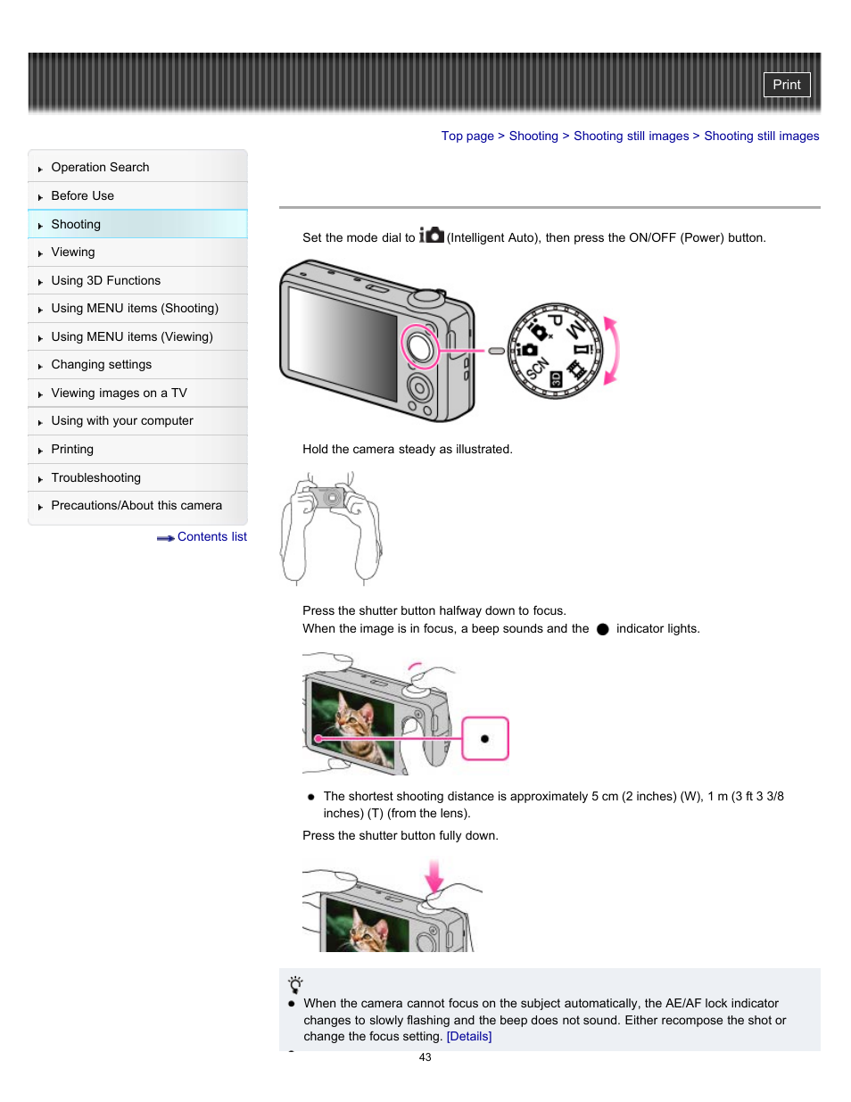 Shooting still images | Sony DSC-WX10 User Manual | Page 43 / 266