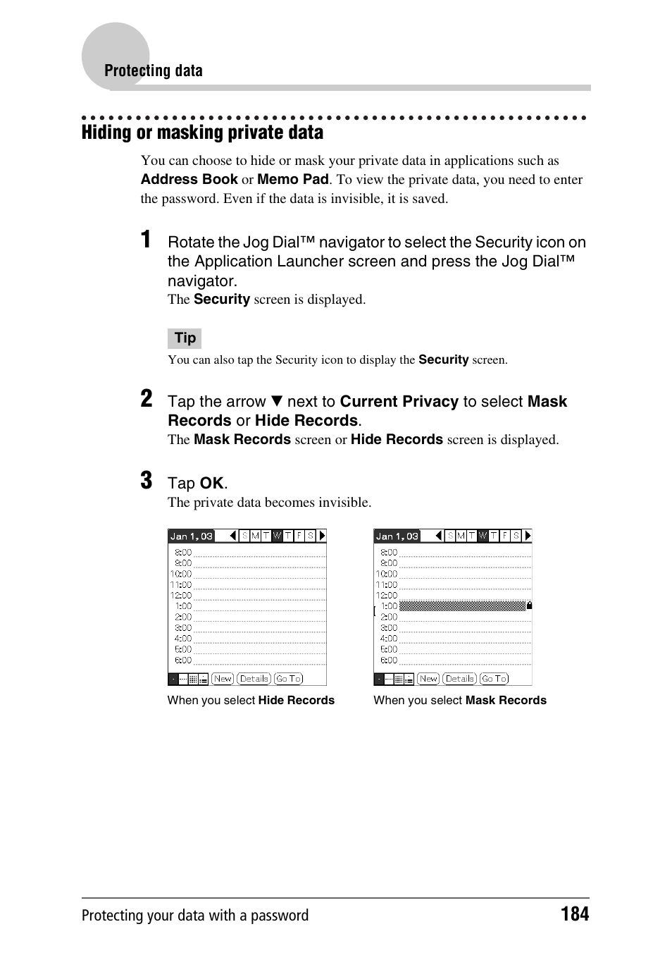 Hiding or masking private data | Sony PEG-NX80V User Manual | Page 184 / 200