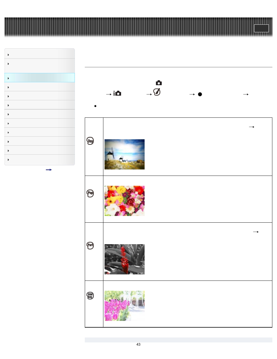 Picture effect, Details, Cyber-shot user guide | Sony DSC-TF1 User Manual | Page 43 / 165