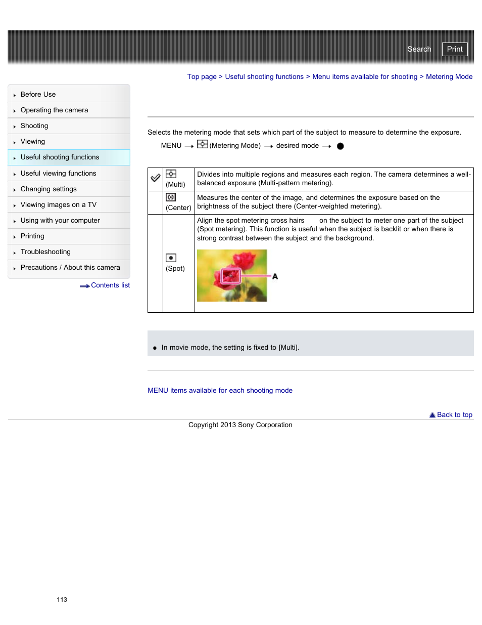 Metering mode, Cyber-shot user guide | Sony DSC-WX300 User Manual | Page 119 / 244